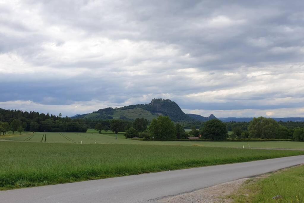 Ferienwohnung In Singen Am Hohentwiel - Seenah Bagian luar foto