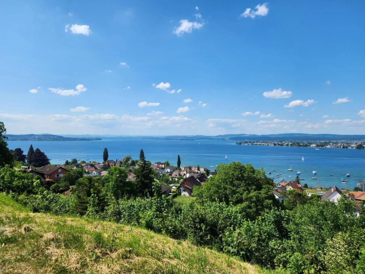 Ferienwohnung In Singen Am Hohentwiel - Seenah Bagian luar foto