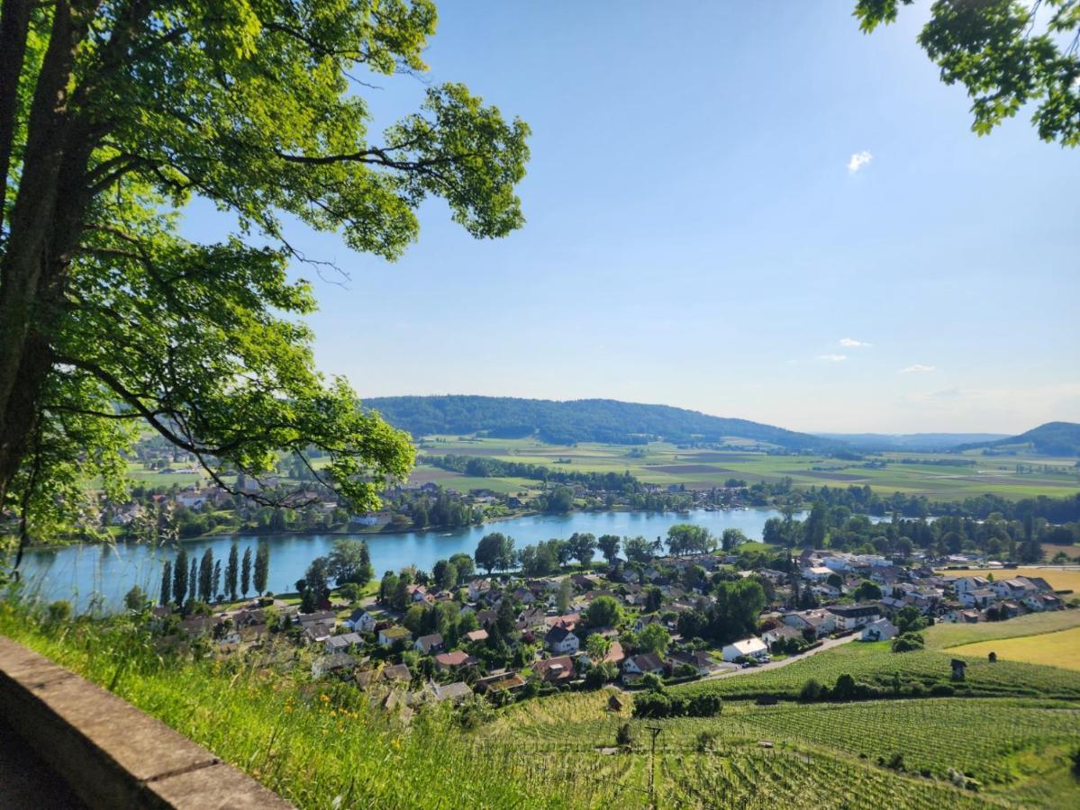Ferienwohnung In Singen Am Hohentwiel - Seenah Bagian luar foto